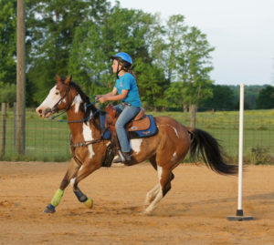 Emily Galey takes one of the favorite rescues on a trial run.