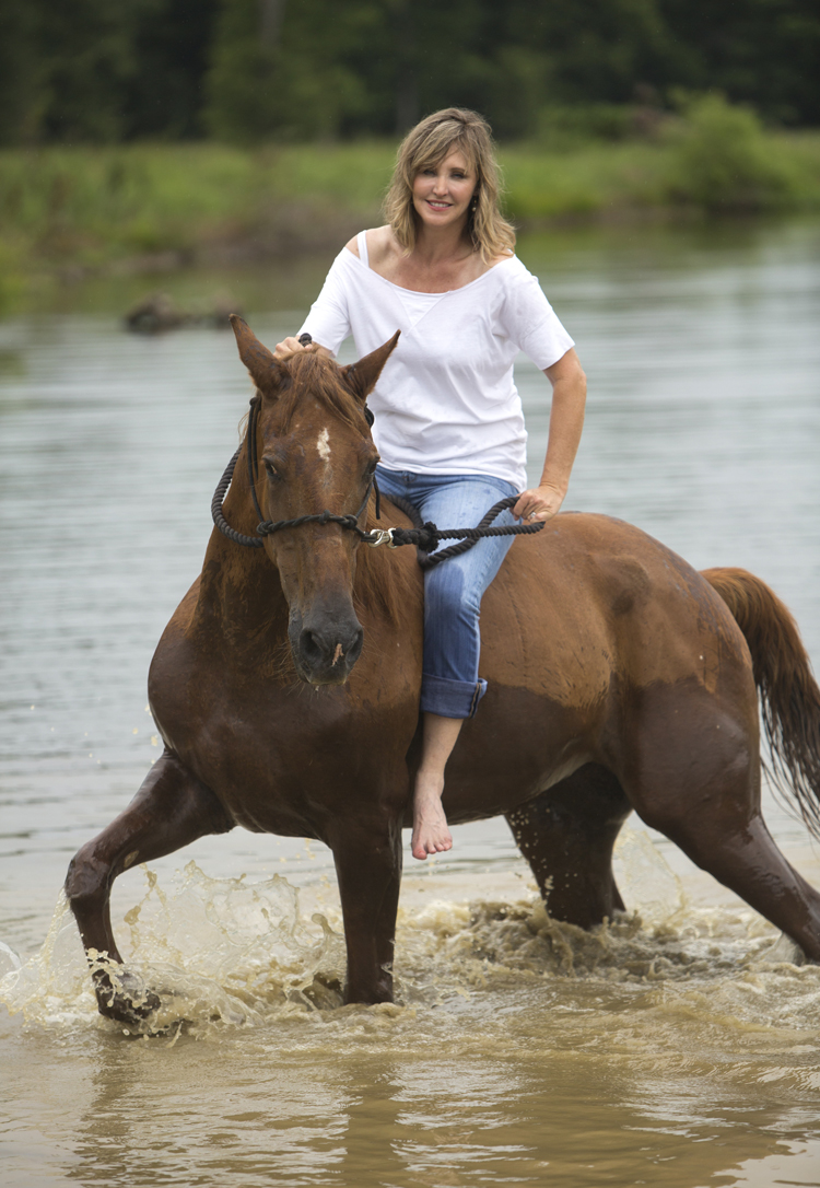Storm is Stephanie’s 28-year-old gelding that is semi-retired. He was at Twelve Oaks when Stephanie and Bill bought the farm and is a permanent resident.