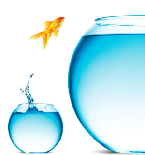 EDUCATION CONNECTION—For Student Leaders: On Being a Small Fish in a Large Pond