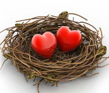 THE MIDDLE AGES—God’s Never-Empty Nest