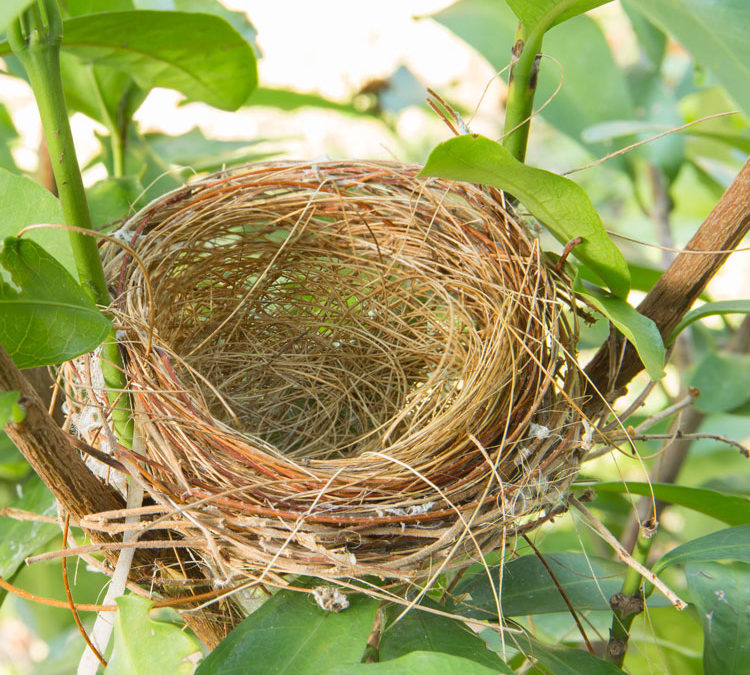 TOUGH QUESTIONS — Navigating marriage with an empty nest