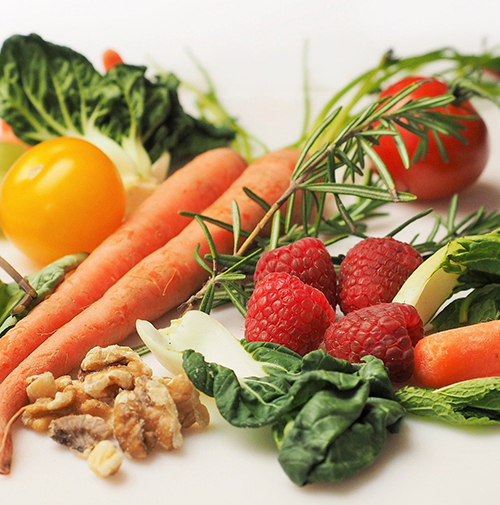 HEALTH & WELLNESS — How Leviticus can help our diet