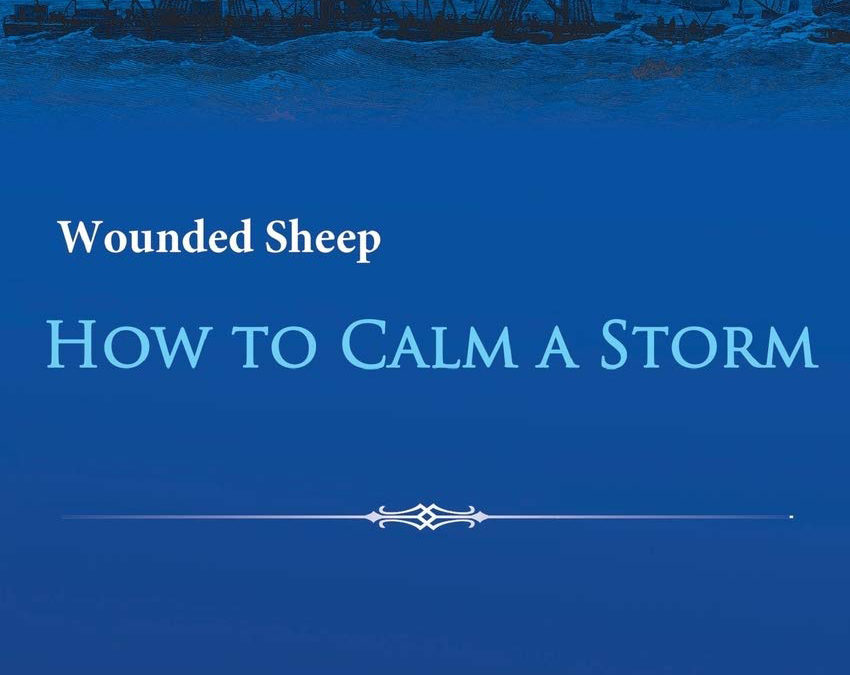 RAVE REVIEWS — ‘Wounded Sheep: How to Calm a Storm’
