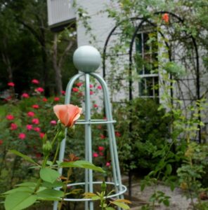 Garden Club 2