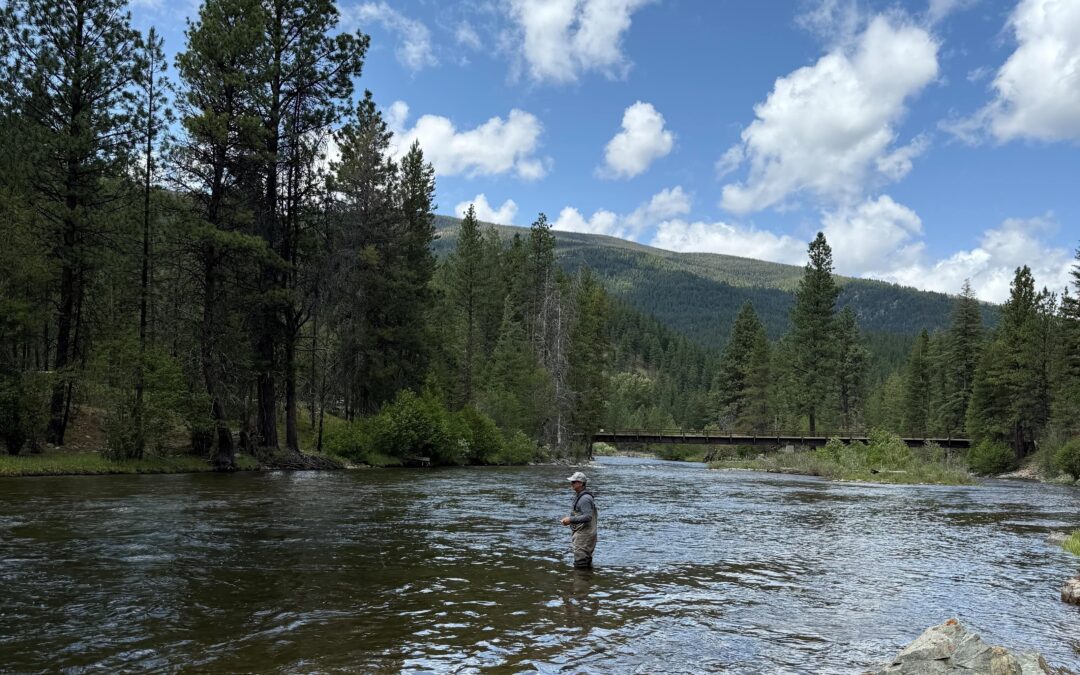 Reflections from the river
