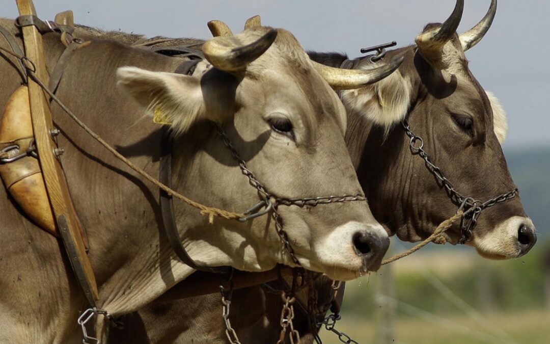 A check-up from the neck up