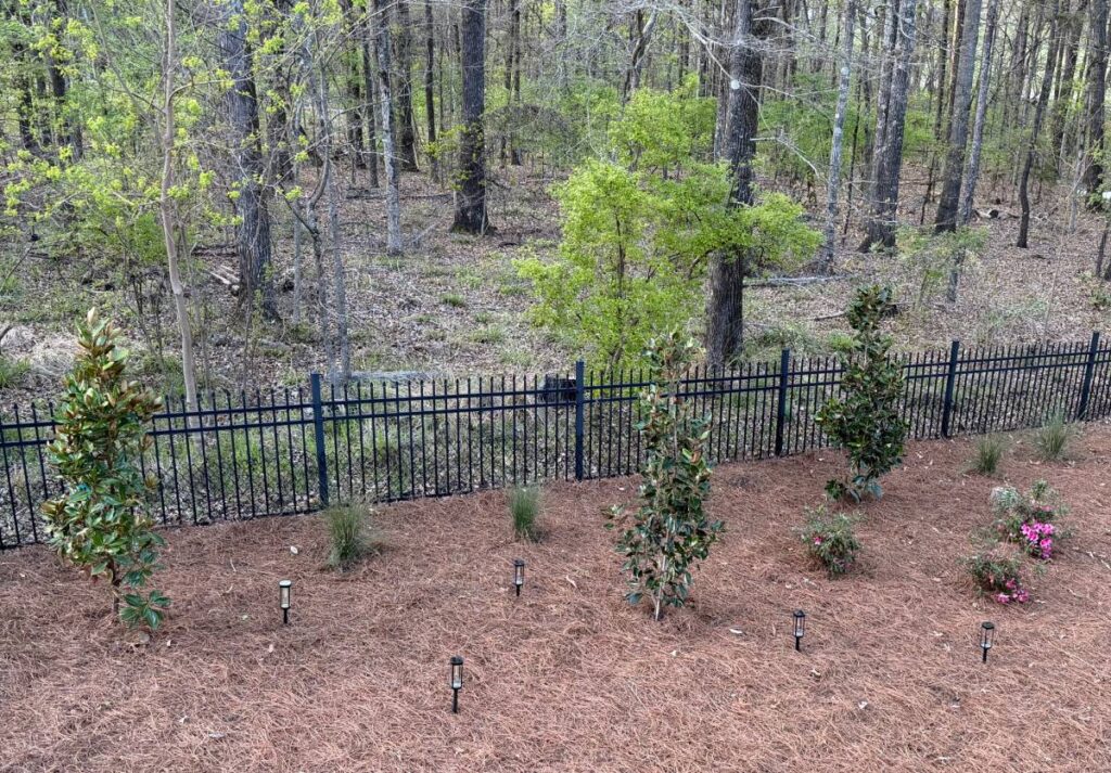 Chris and Stacy Bates' fledgling flowerbed