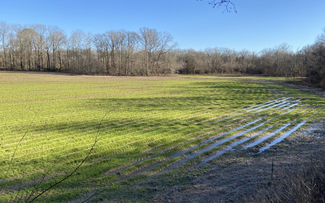 Something from Nothing