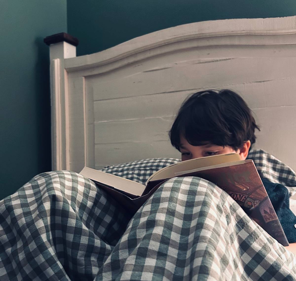 Boy reading a book